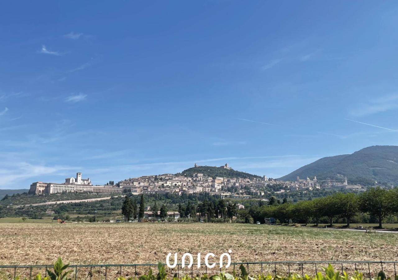Unica Assisi Agri-Charming House Acomodação com café da manhã Exterior foto